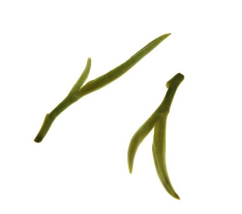 按茶的外形分类不同的茶叶外形各不相同