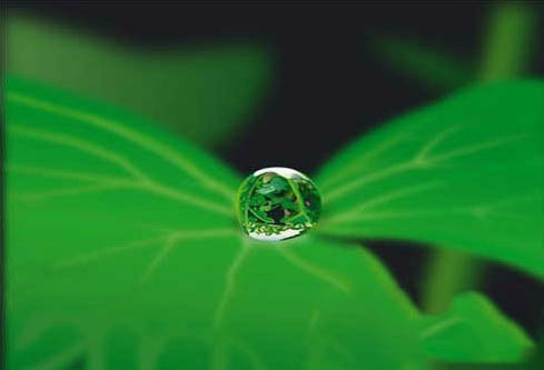 古代茶人饮茶对水的讲究