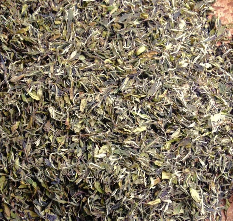 普洱茶如何根据原料来判断茶品