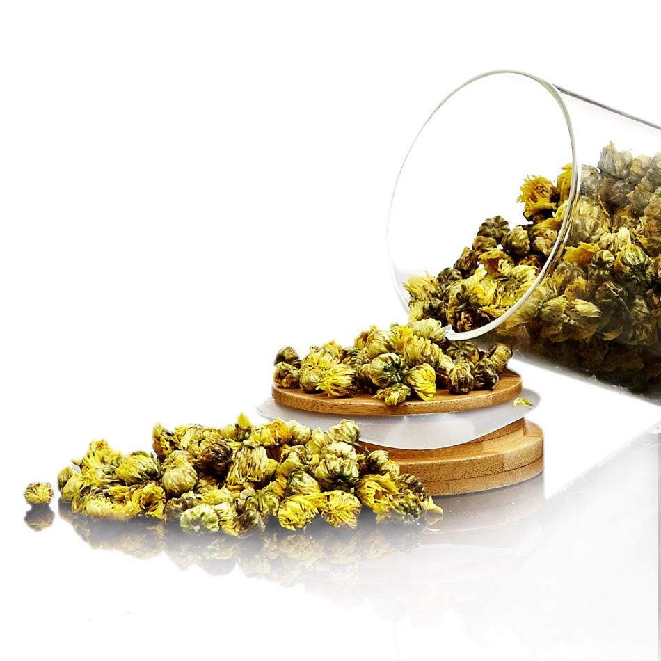 怎么挑选好的菊花？