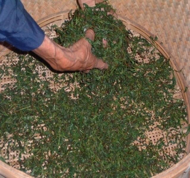 茶叶中的含量多酚类化合物介绍