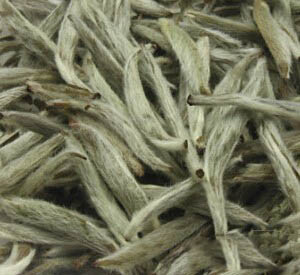 白毫银针与白琳工夫茶