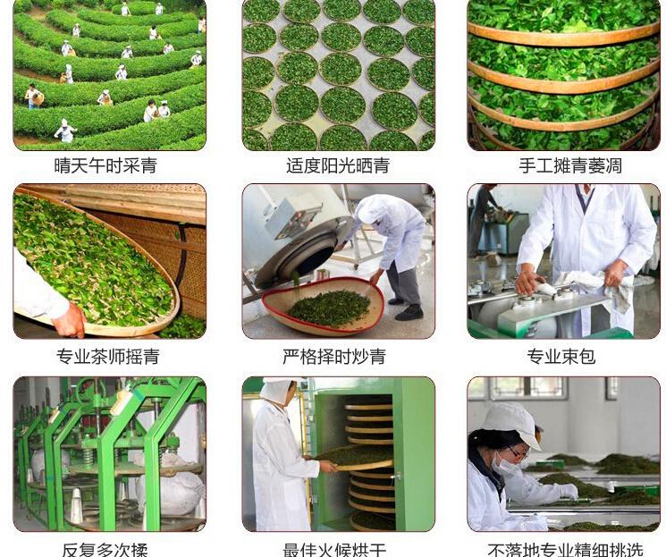 绿茶杀青和揉捻的制作?