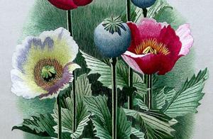 传统工艺-中国刺绣，永不过时的美！