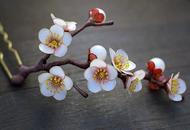 珠玉瑶光——古代女子常见发饰