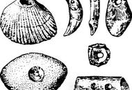 服饰的起源与演变