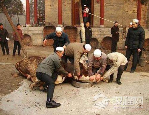 揭秘回族人为什么不吃猪肉