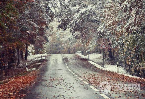 酒桌上经不住劝酒的3大星座