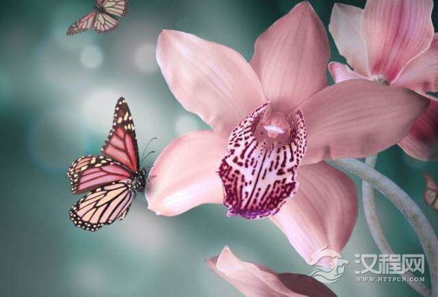 酒桌上经不住劝酒的3大星座