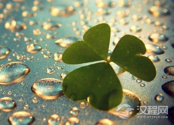 酒桌上经不住劝酒的3大星座