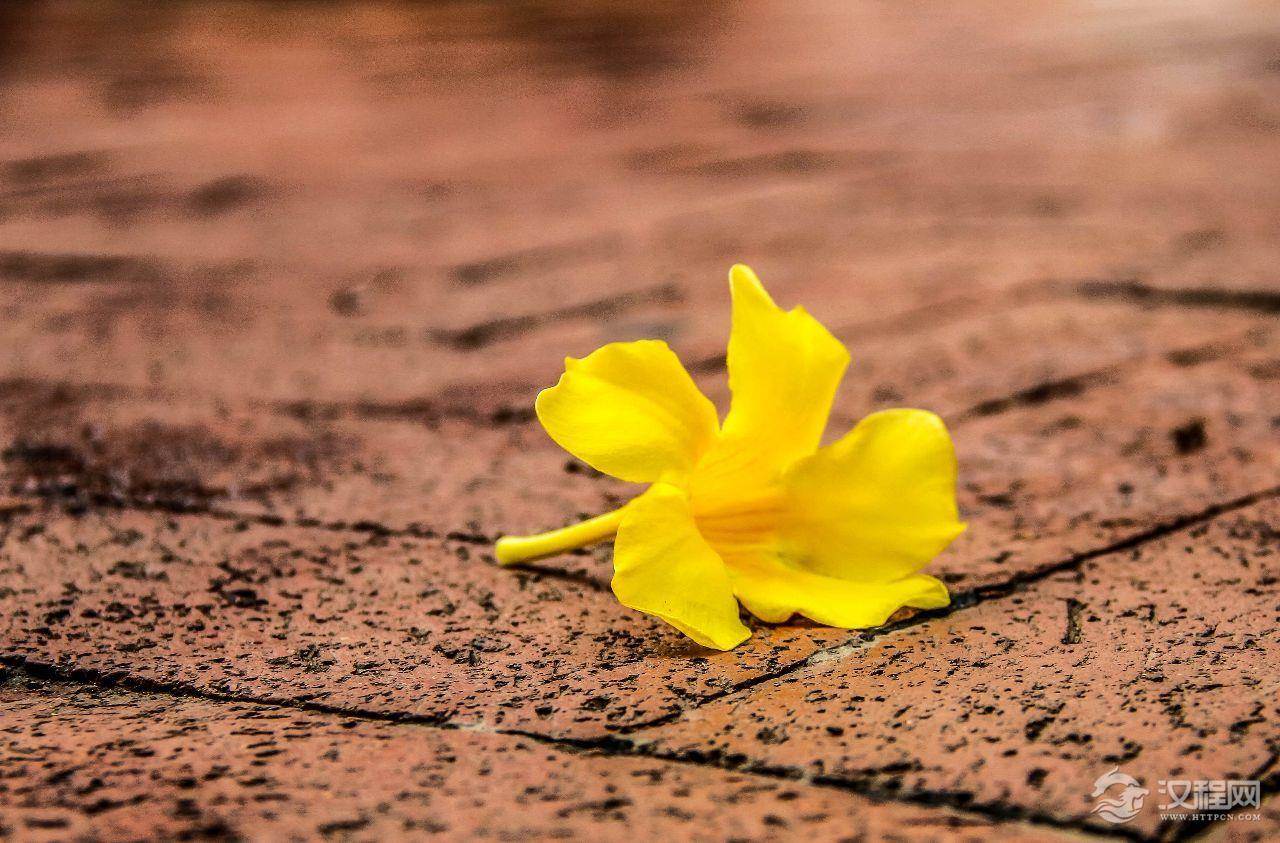 春节聚会，最难适应酒桌文化的三个星座