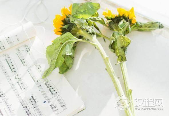 酒桌上经不住劝酒的3大星座