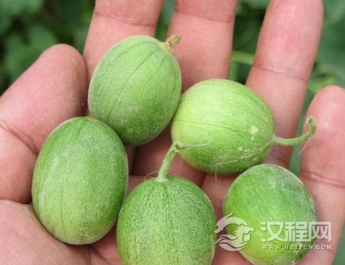 它和酒精“天生敌对”，上酒桌前吃几个，养胃又解酒，早知早受益