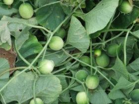 酒中酒：细说酒桌上最不能要的几点行为