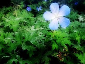 酒桌上经不住劝酒的3大星座