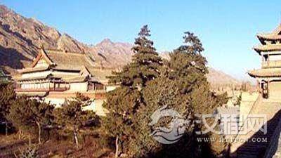 龙门石窟奉先寺(3)