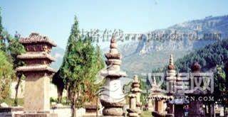 山东神通寺塔林