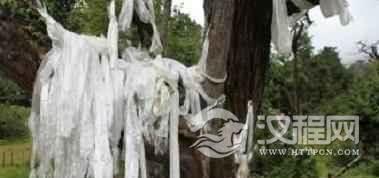 珞巴族文化珞巴族图腾预示着什么