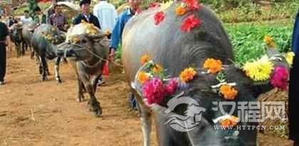 布依族节日布依族的四月八有什么特点