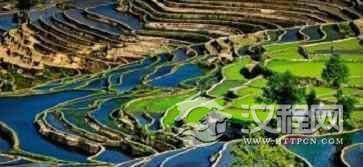 揭秘：元阳哈尼族的梯田究竟有多迷人