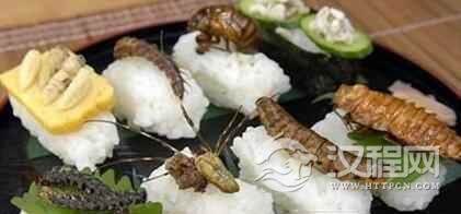 仡佬族节日仡佬族的吃虫节是什么时候