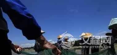 京族文化京族传统的渔业文化简介