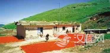 塔塔尔族住房有几种？分别是什么样