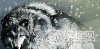 维吾尔族图腾维吾尔族的“狼”图腾是怎么来的