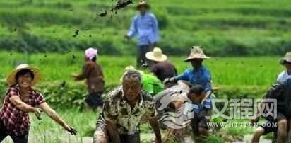 土家族文化土家族的农耕文化历史悠久