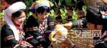 哈尼族酒文化哈尼族的焖锅酒酿制技术