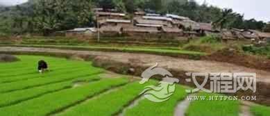 黎族人是怎样水田耕作的？有何民族特点