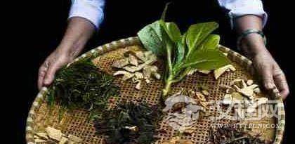 神奇的黎族医药文化