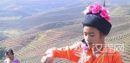 布朗族种茶饮茶的传统习俗