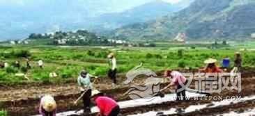 阿昌族历史阿昌族农业生产技术发展史