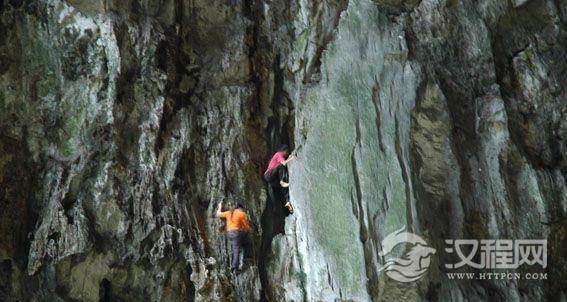 “蜘蛛人”：行走在绝壁上的精灵