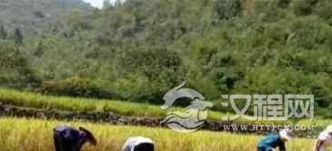 阿昌族历史阿昌族农业生产技术发展史