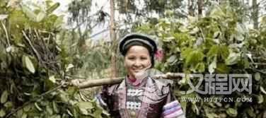 瑶族的养生文化瑶族人平常是怎么养生的