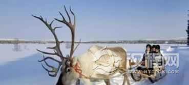 鄂温克族文化独特的鄂温克族驯鹿文化