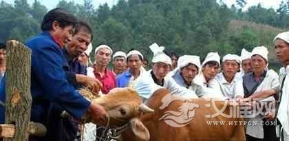 布依族民俗布依族的丧葬有什么风俗特点