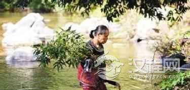 黎族医药学黎族医生是用啥特殊方法看病的