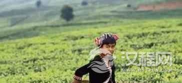 佤族婚俗简介佤族婚后的女子都管干啥