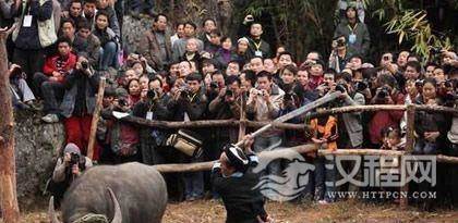 瑶族独特的风俗文化“瑶族砍牛”