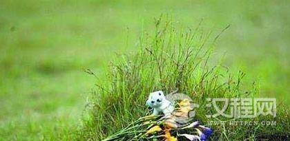 京族有什么丧葬习俗？京族葬礼文化简介