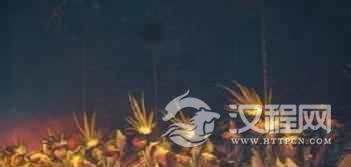 羌族舞蹈羌族的巫舞是什么时候跳的