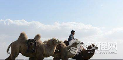 别具一格的蒙古族草原文化