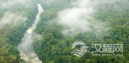 关于黎族植物文化你了解多少？