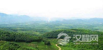 关于黎族植物文化你了解多少？