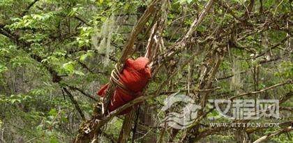 珞巴族树葬有什么特色？珞巴族树葬的仪式