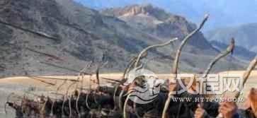 蒙古族习俗蒙古人特殊的社会生活是什么样的