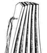 纳西族的拍板是什么来的？拍板的发展过程是怎样的